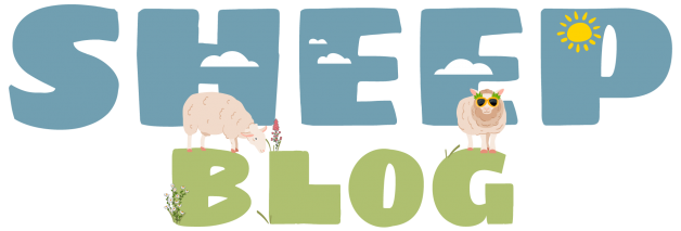 Sheep Top Image July 25 - final