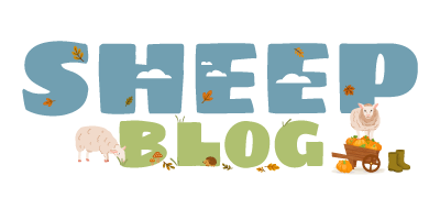 sheep-image-top-sept-25