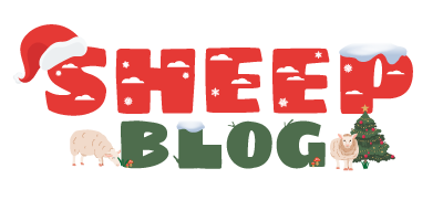 sheep-image-top-Nov-25